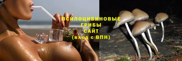 бошки Абдулино