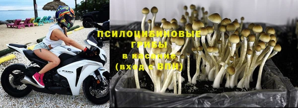 бошки Абдулино