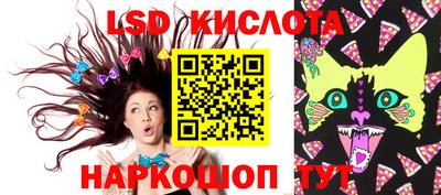 spice Кузнецк