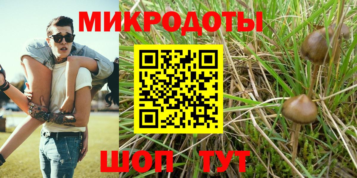 Псилоцибиновые грибы GOLDEN TEACHER  Вход с VPN  Электросталь  Псилоцибиновые грибы Psilocybe 