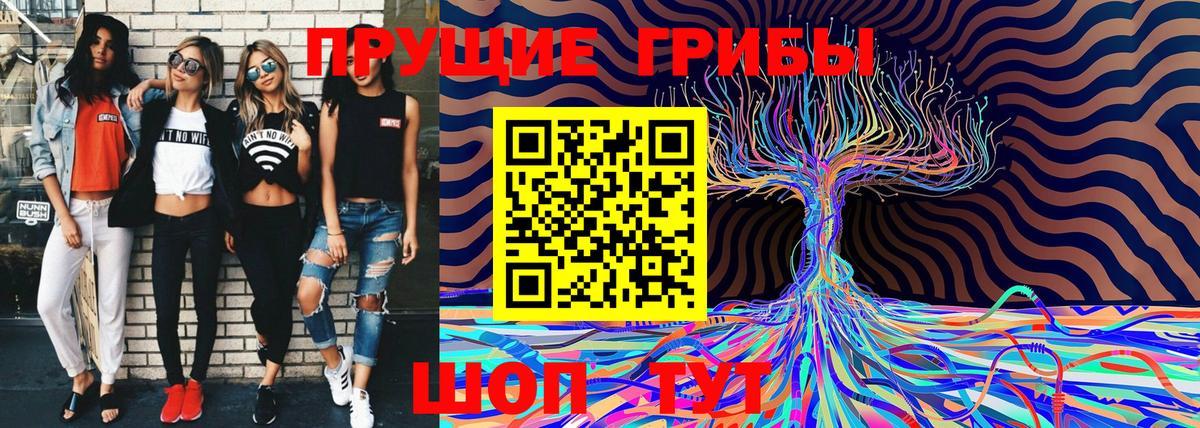 Псилоцибиновые грибы GOLDEN TEACHER Электросталь